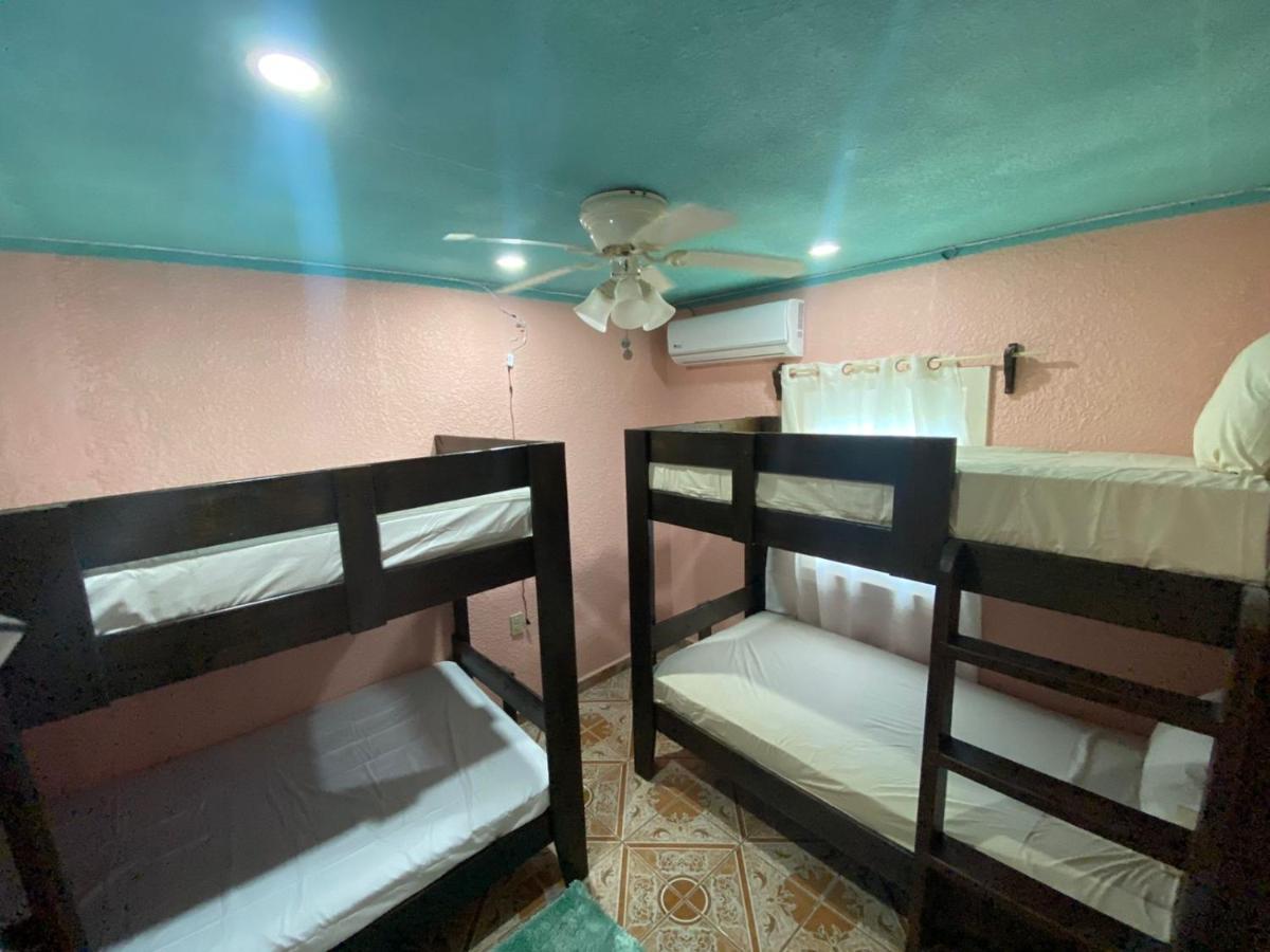 Forest View Apartment Six Huts المظهر الخارجي الصورة