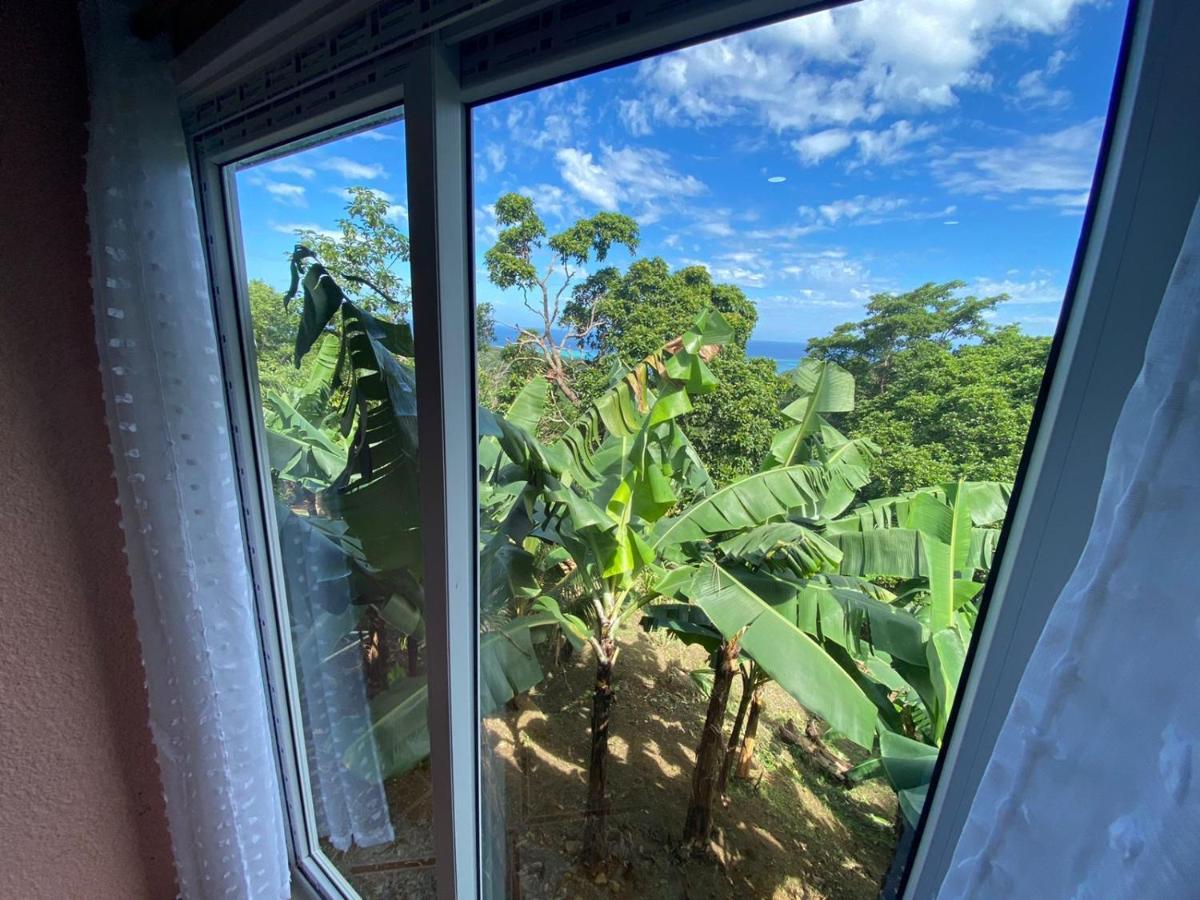 Forest View Apartment Six Huts المظهر الخارجي الصورة