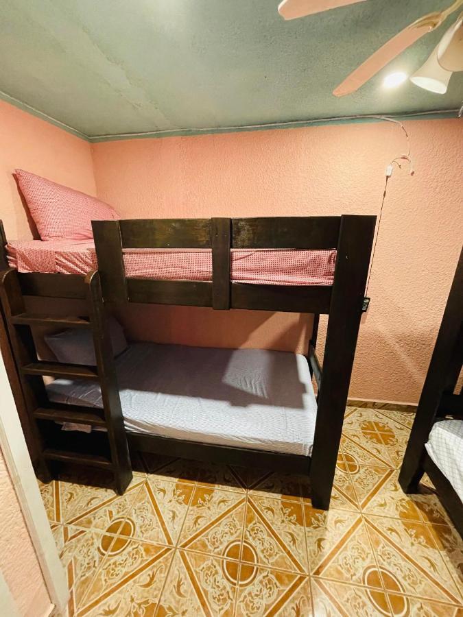 Forest View Apartment Six Huts المظهر الخارجي الصورة